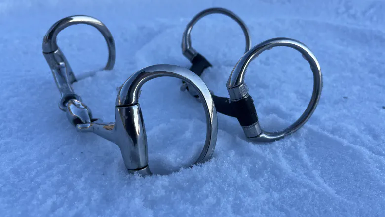 two bits with fixed rings: one with more oval rings (eggbutt) and one with more rounded rings.