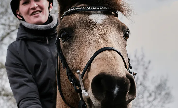 Framåtdrivning hos nyinriden 4-årig ponny