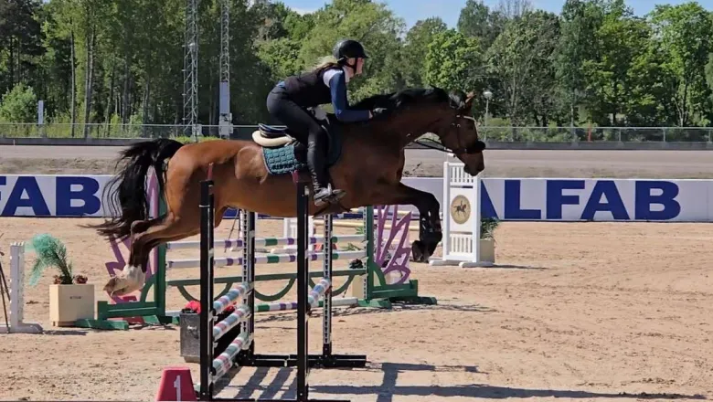 Hopphäst, hinder, sidepull