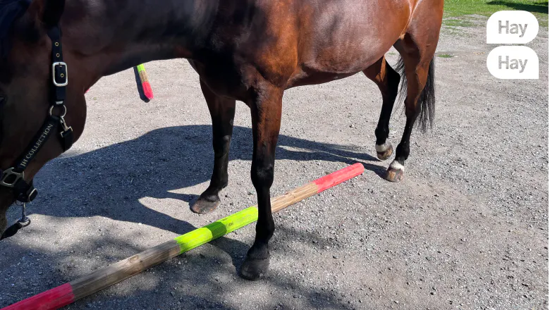 Bomövning, one pole challange