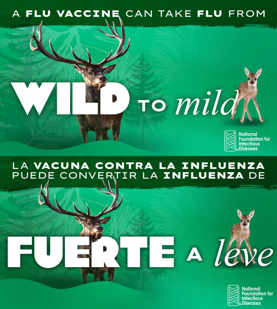 From Wild to Mild: The power of flu vaccination