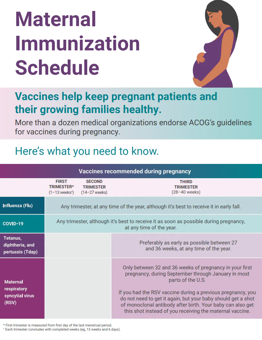 ACOG’s 2026 maternal immunization schedule