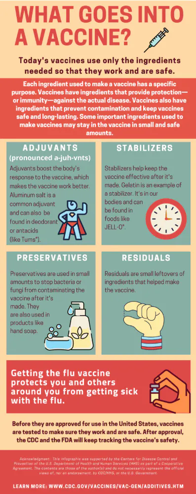 Factsheet: What goes into a vaccine? (English, Spanish)