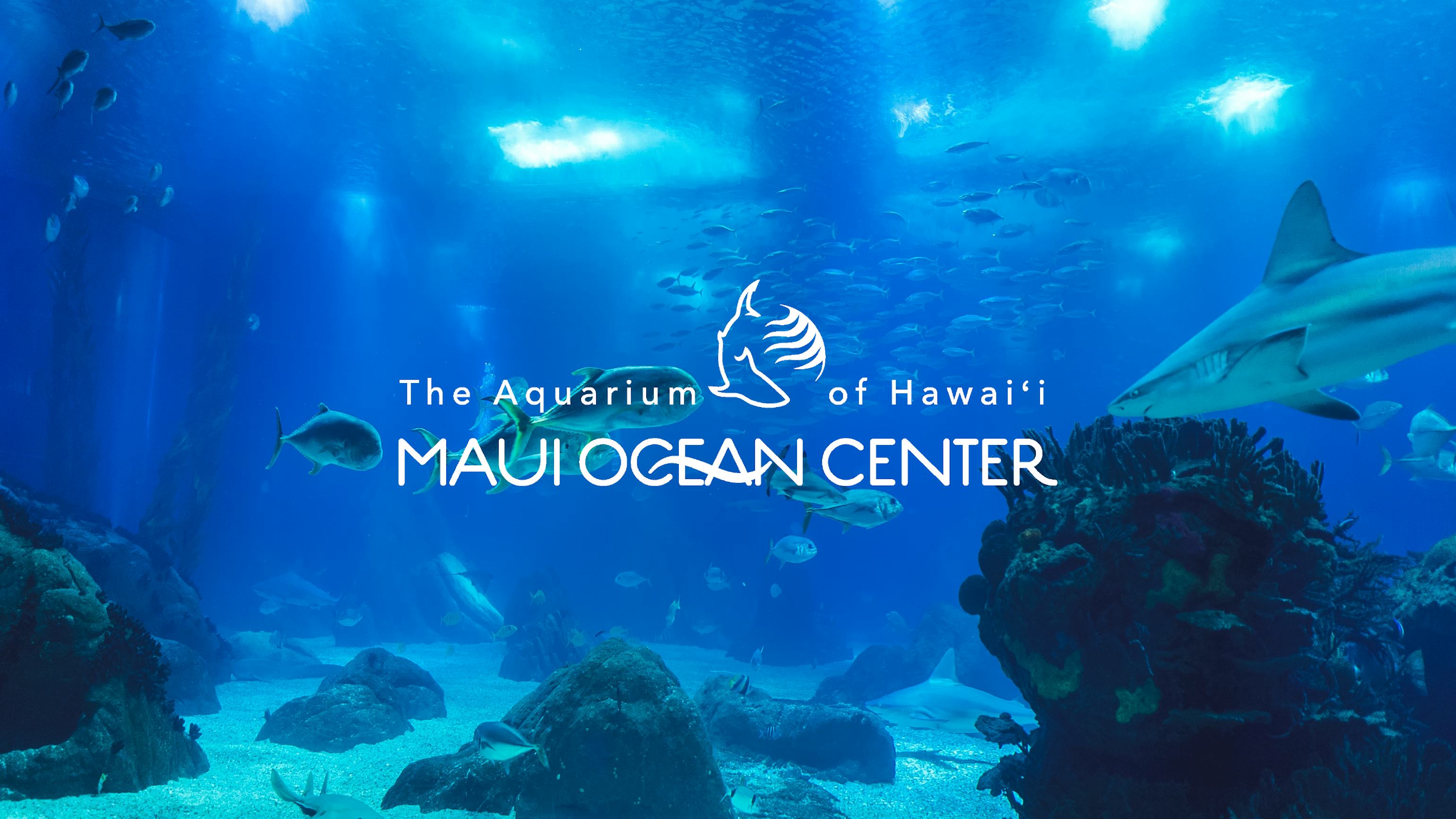 Maui Ocean Center, The Aquarium of Hawaii