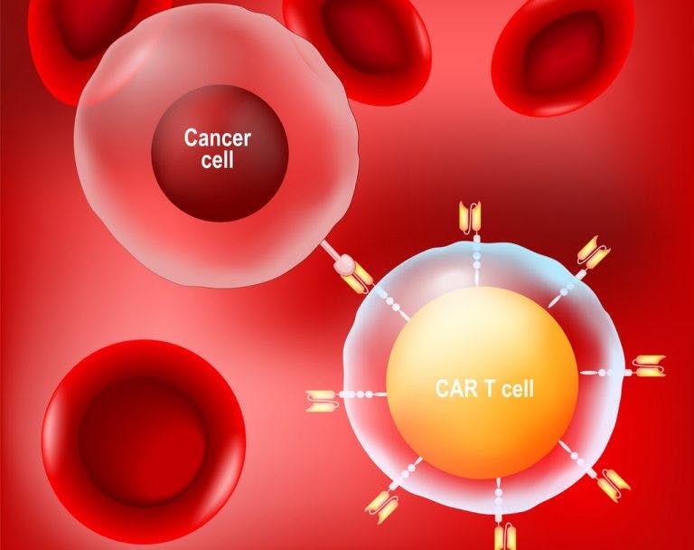 CAR T cell