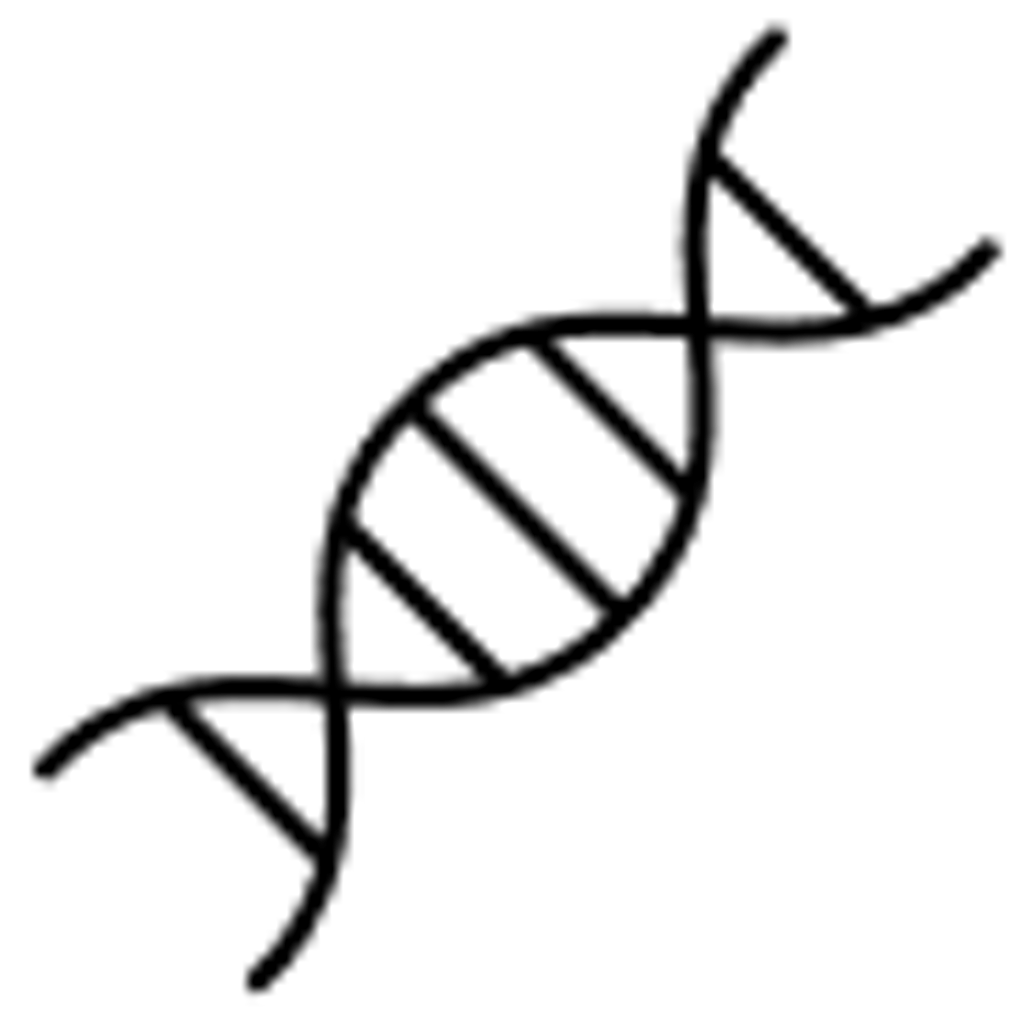 5 key dietary nucleotides
