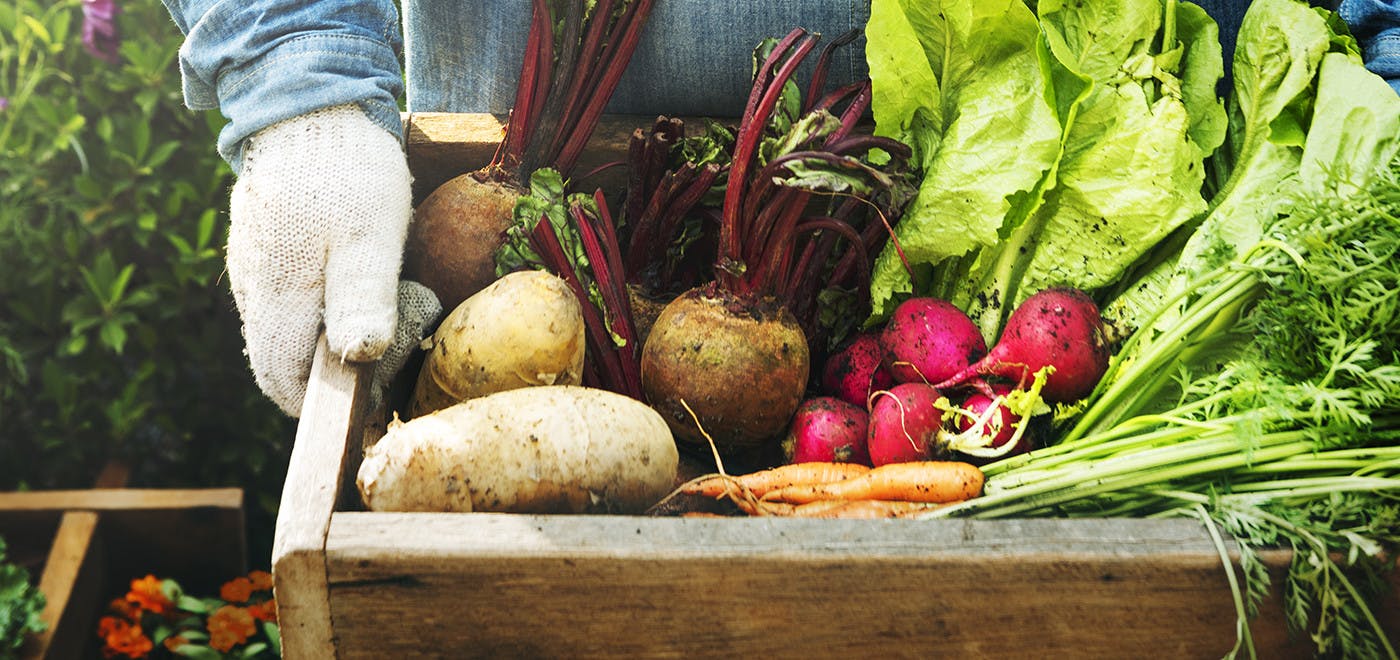 find-fresh-local-produce-close-to-home-healthy-delaware