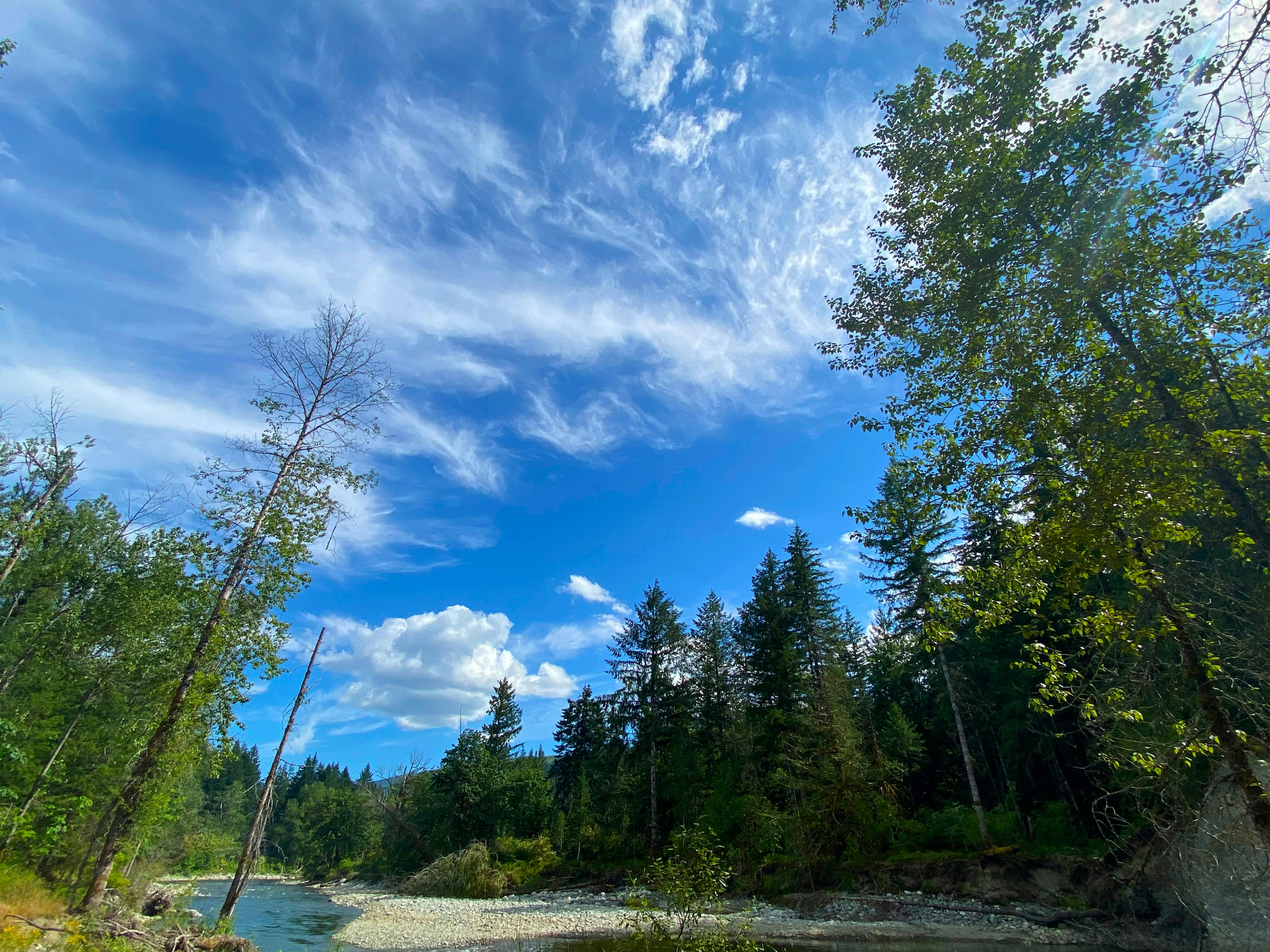 A photo looking across and down the river with a expanse of blue sky and wispy clouds edged by tall green trees