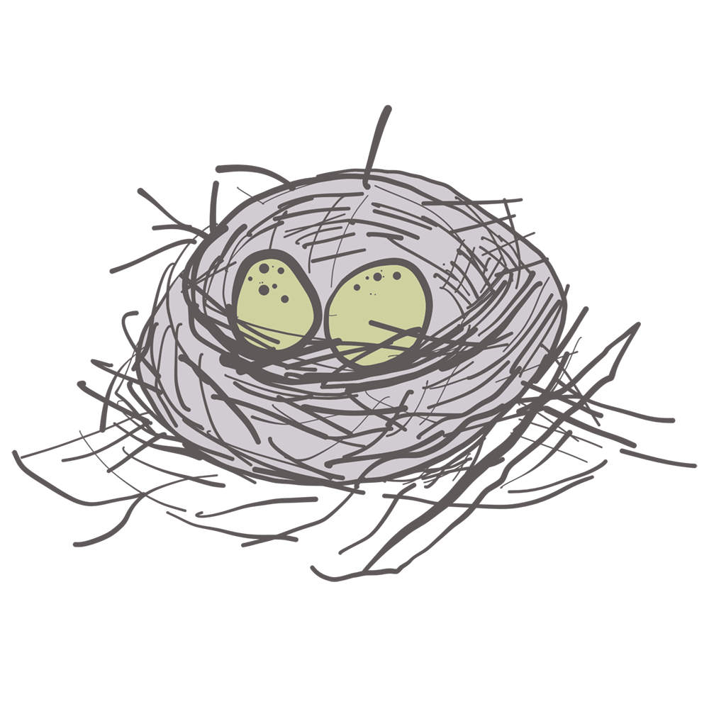 An illustration of green eggs in a little nest
