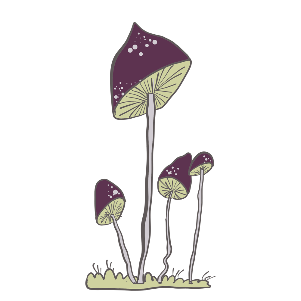 an illustration of one large mushroom and three smaller mushrooms