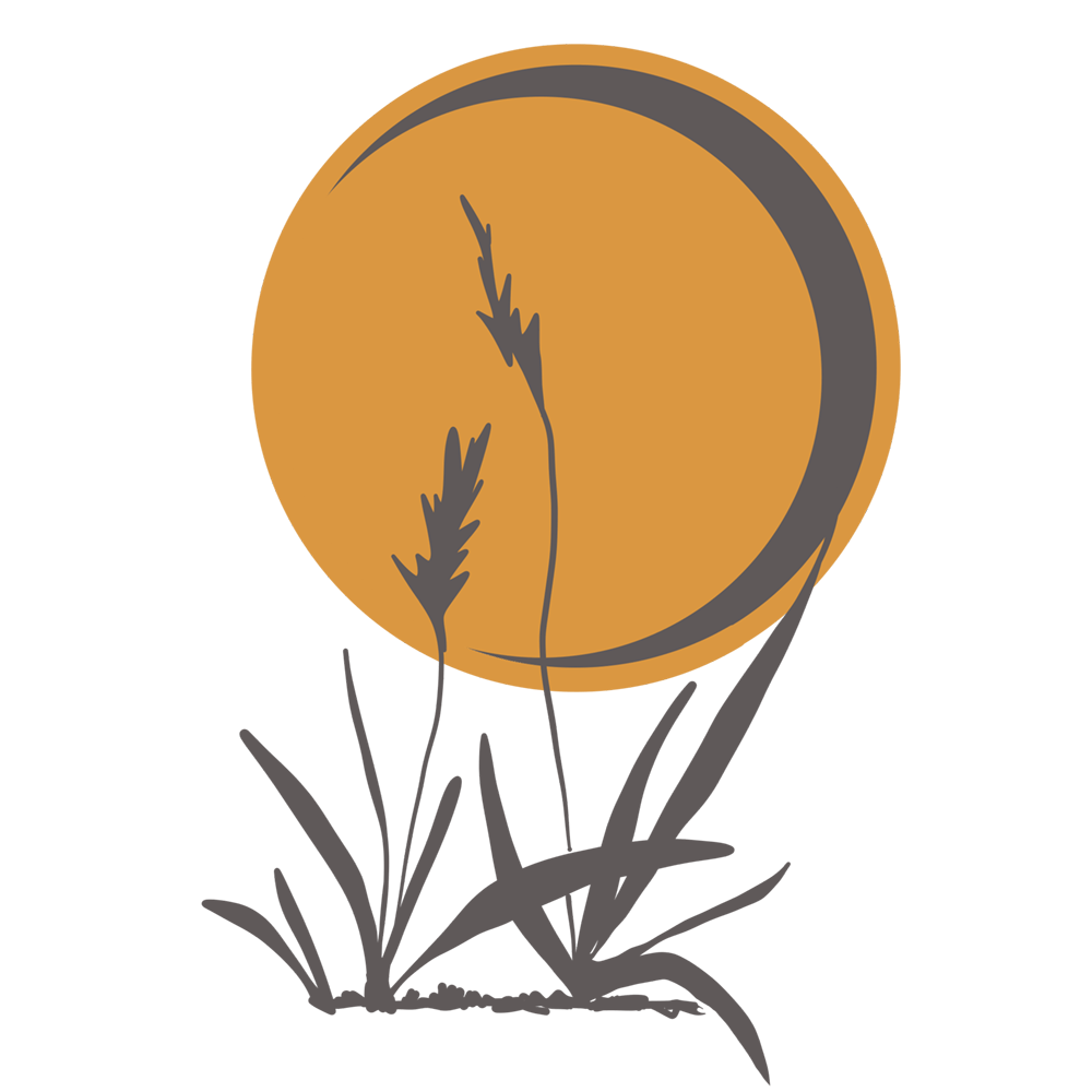 An illustration of grasses and a moon