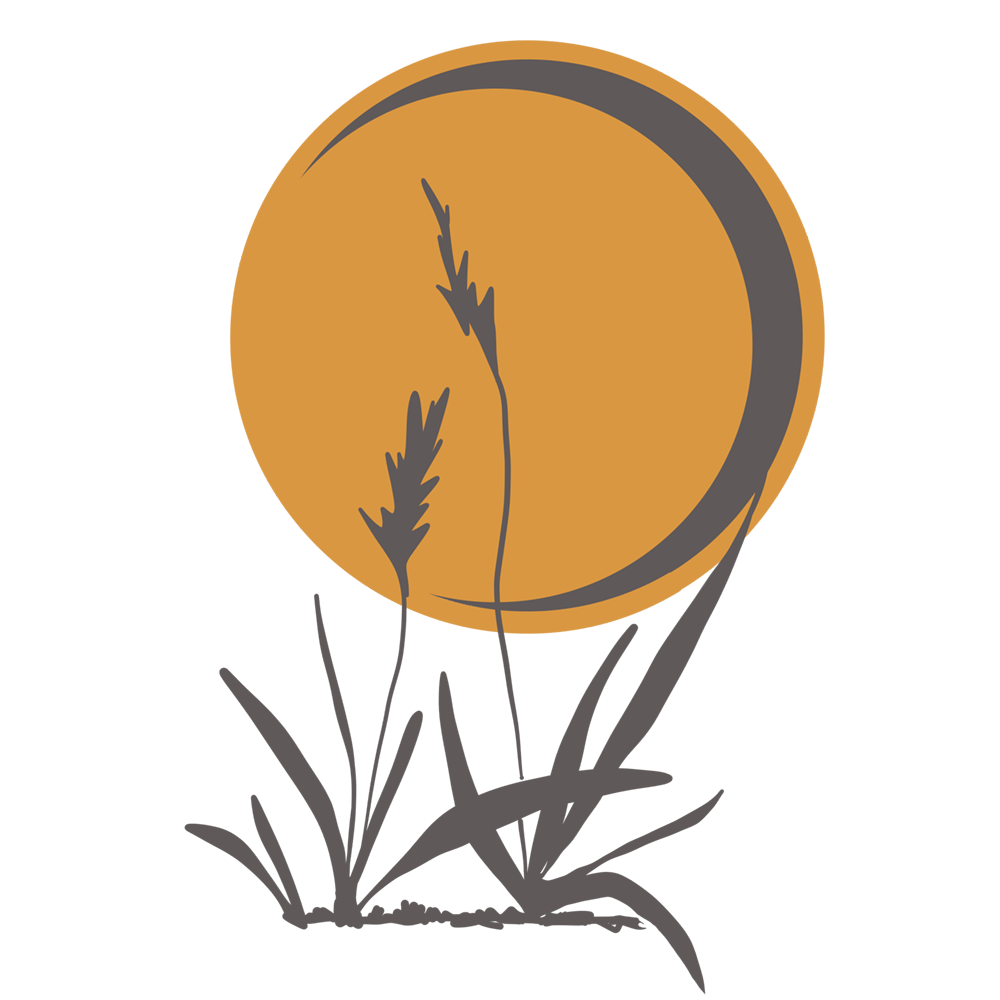 an illustration of grasses and a moon