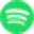 Spotify icon