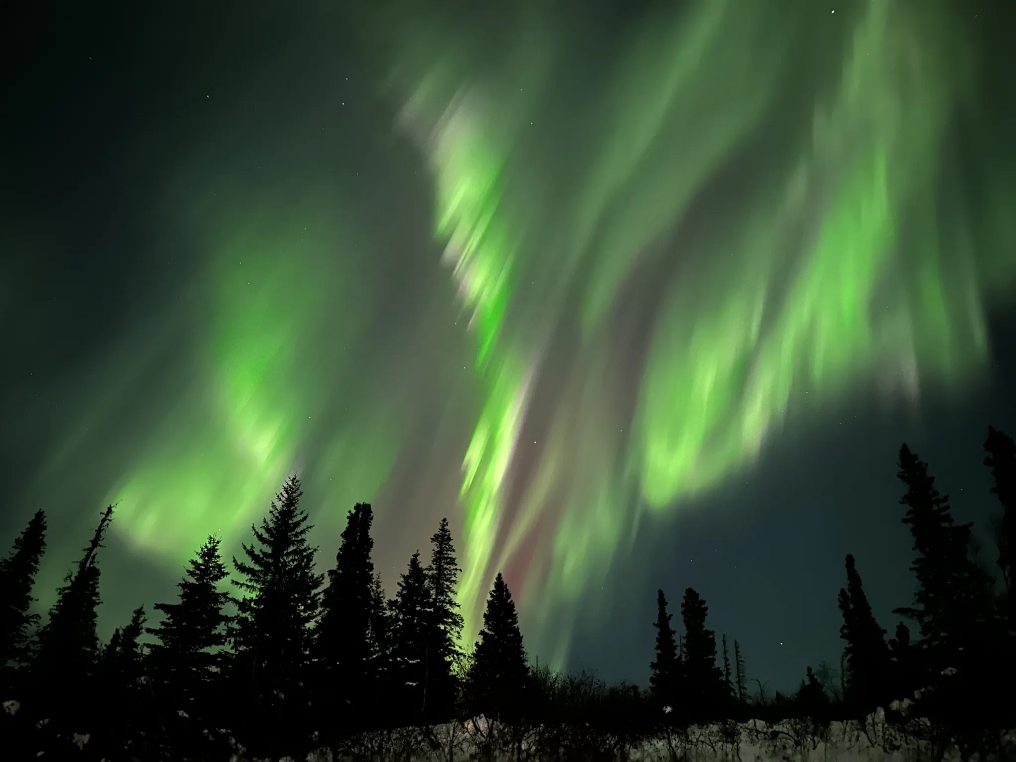 Northern Lights illuminate Anchorage hills, Alaska - Photo by @robertspangey