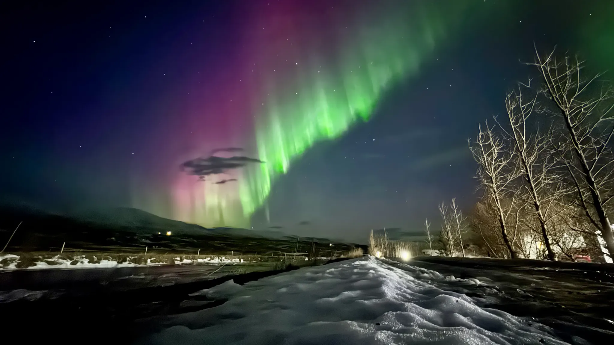 Green, pink and red aurora dancing over a snowy landscape in Iceland, captured in January 2026 by Icelandic Adventure.
