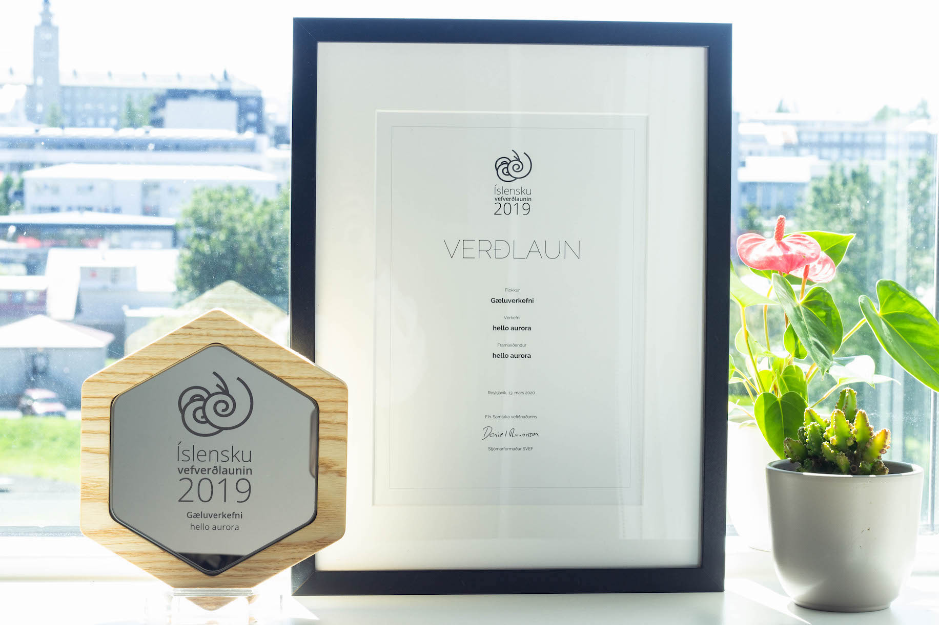 Hello aurora won the Icelandic Web Awards
