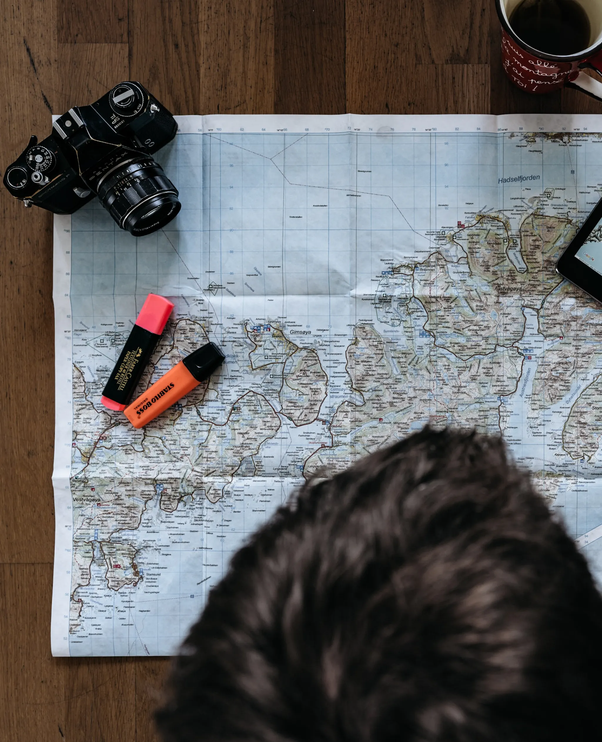 How to Plan for the First Northern Lights Hunting Trip | 2026 Guide