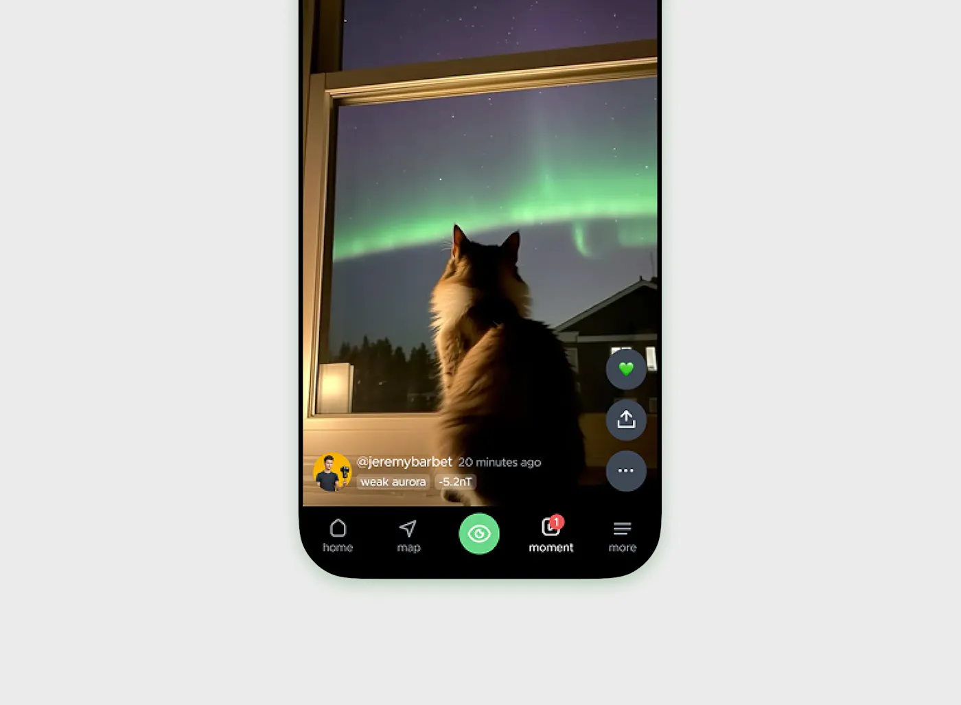 React to community photos