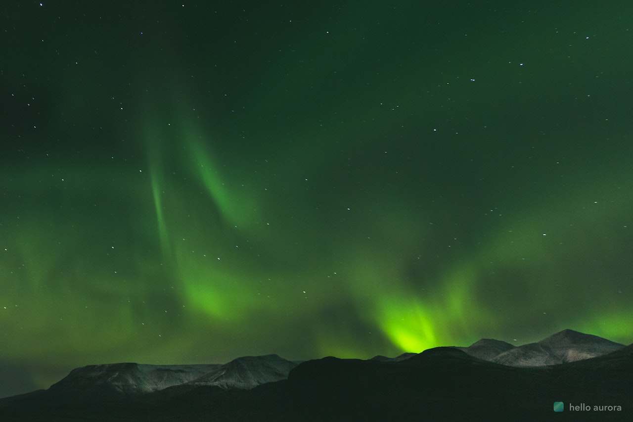 20 Aurora Borealis Facts You will Love to Know's cover picture