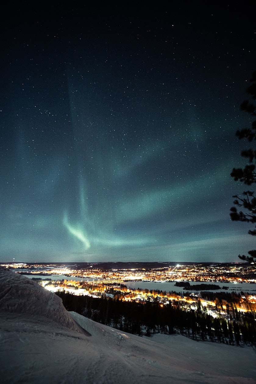 Aurora in Rovaniemi. Photo by Maria Vojtovicova on Unsplash