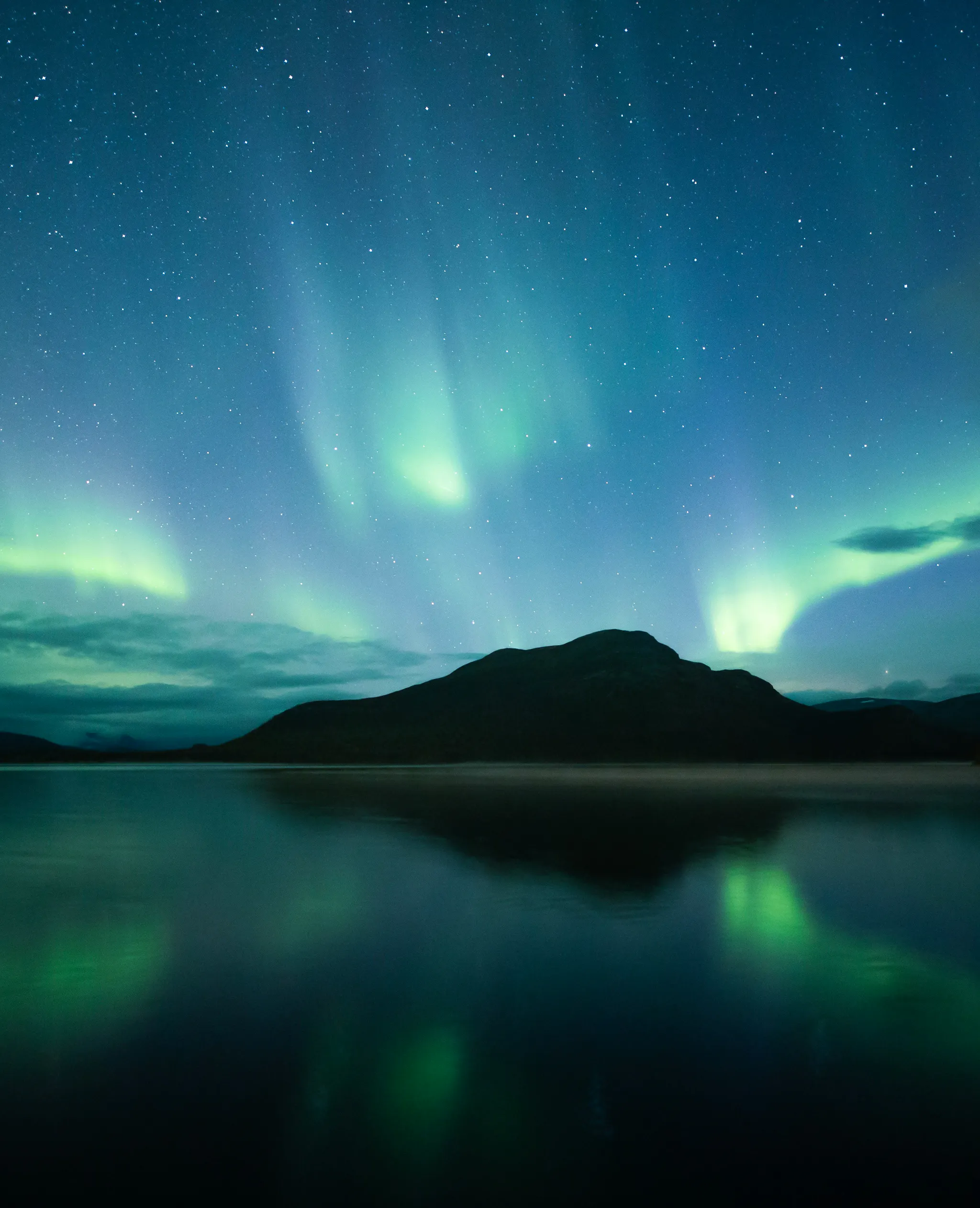 Top Aurora Forecast App to Track the Northern Lights in Real-Time