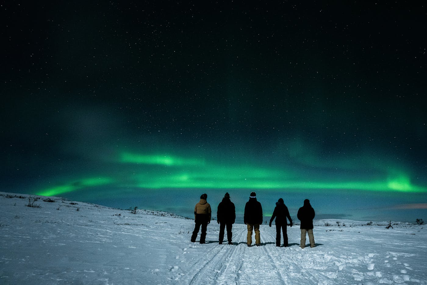 How to See the Northern Lights in Sweden | 2026 Guide's cover picture