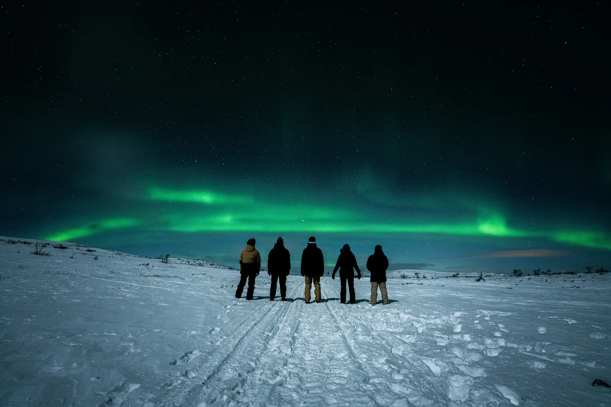 Beautiful green Northern Lights in Sweden captured by Tom Ohlin from Unsplash