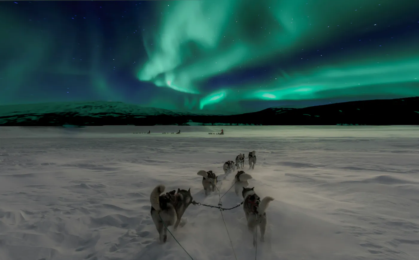 How to See the Northern Lights: Best Way & Expert Viewing Tips's cover picture