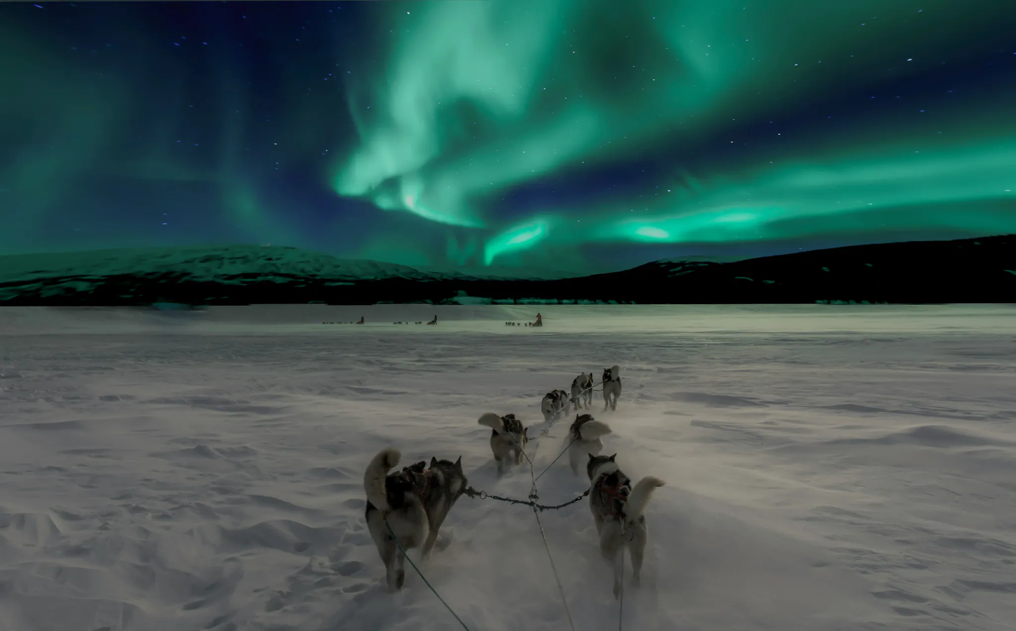 How to See the Northern Lights: The Best Way in 2026's cover picture