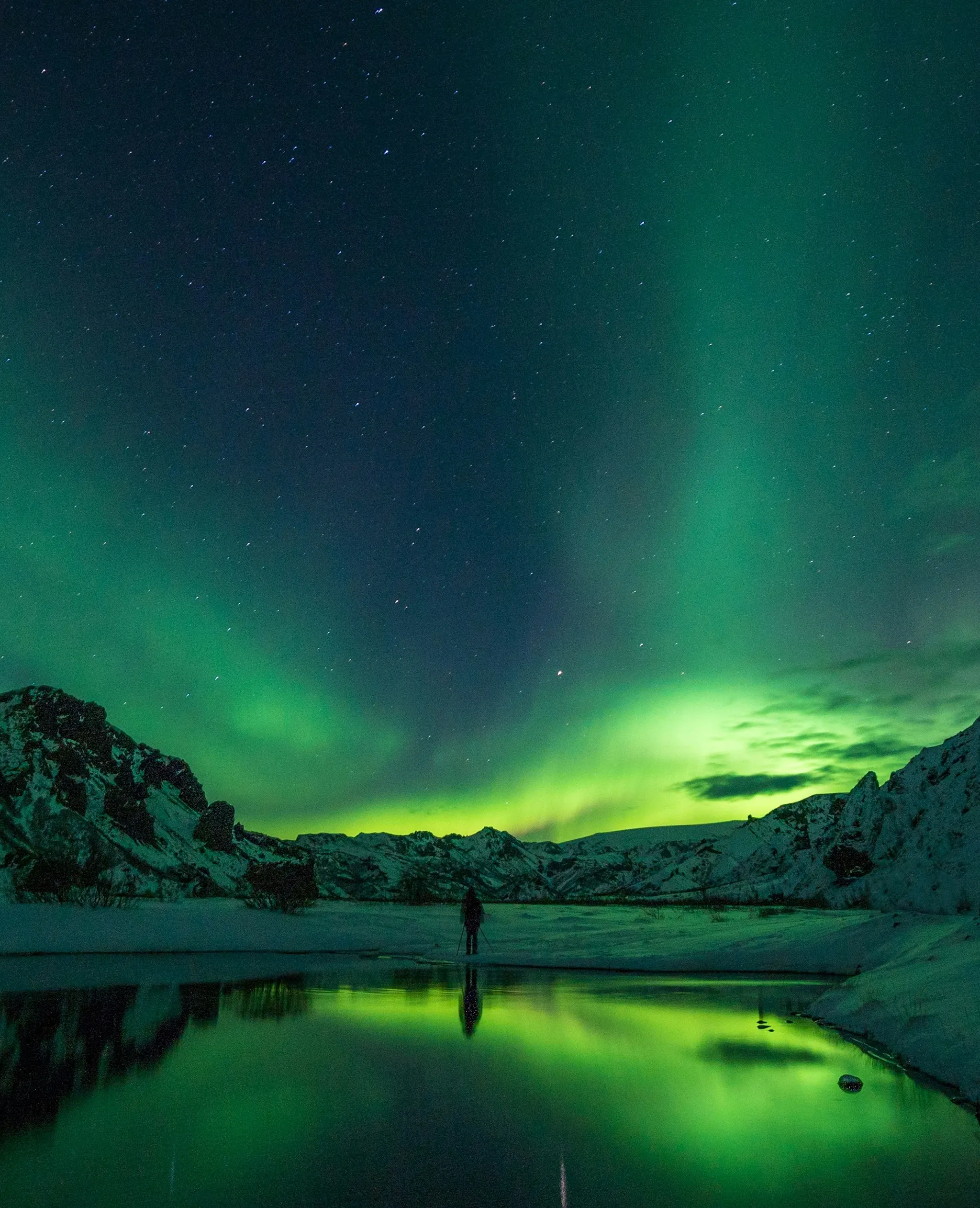 How to Read Aurora Forecast: 2026 Guide