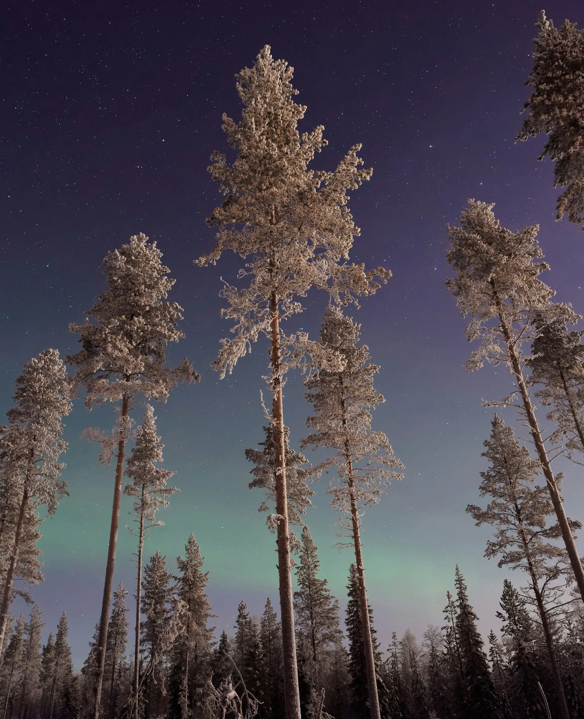 Christmas Holiday Northern Lights Hunting Tips