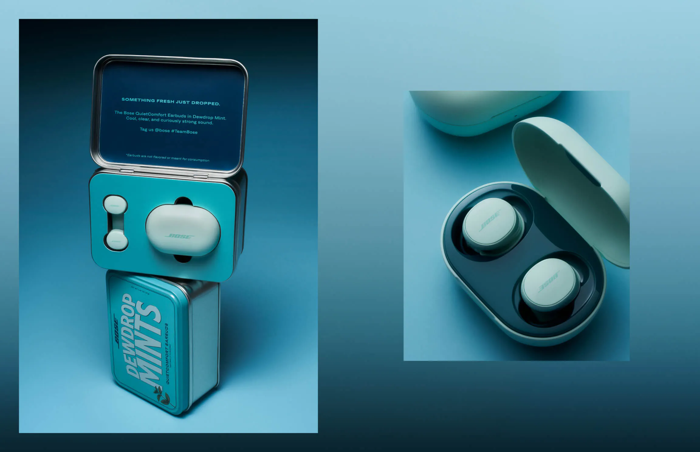 Left: the open seeding tin stacked on top of the closed Dewdrop Mints tin, with the charging case and individual earbuds displayed inside the upper tray. Right: close-up overhead shot of the open Bose charging case with both Dewdrop Mint earbuds seated inside.