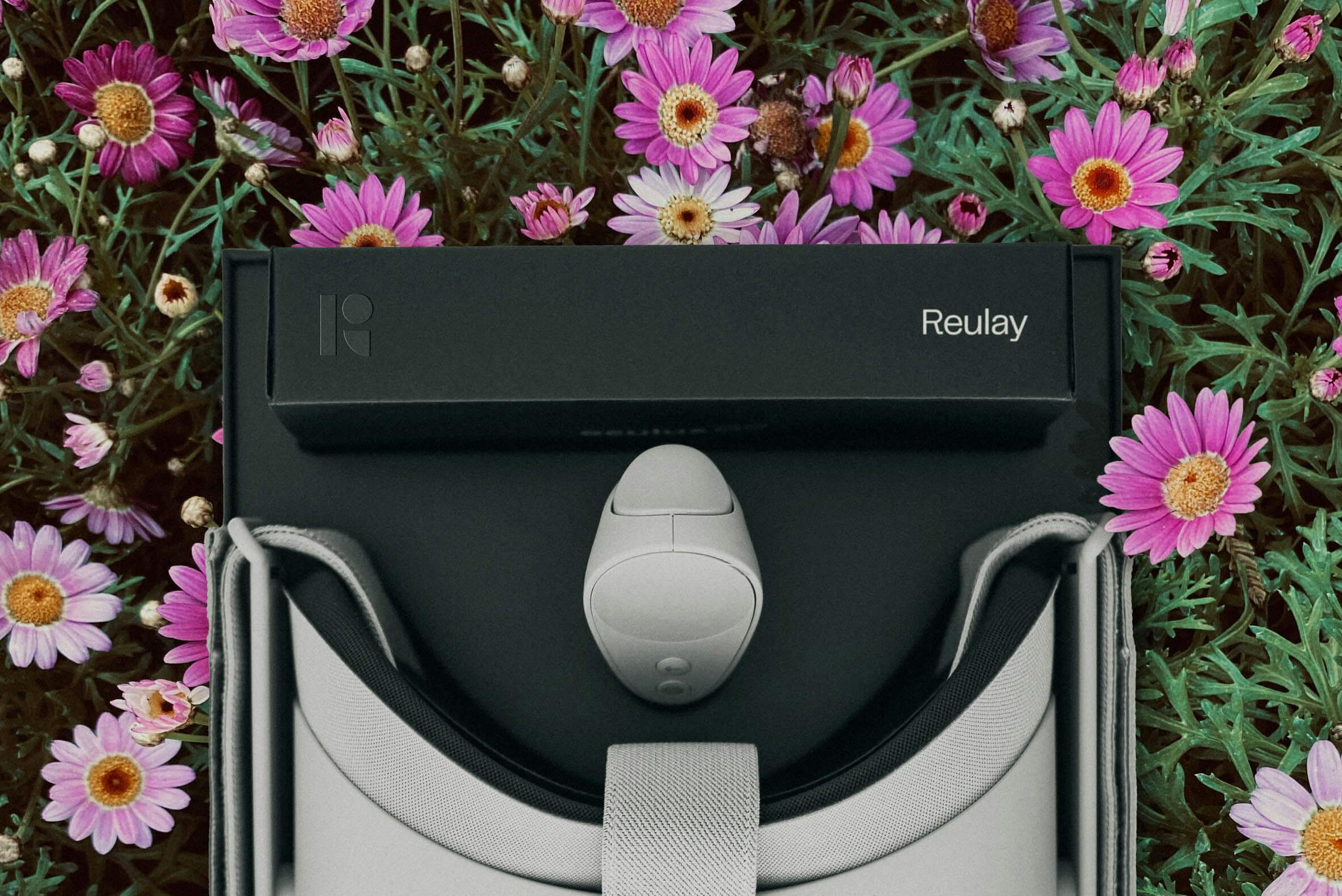 VR glasses lying in field of wildflowers