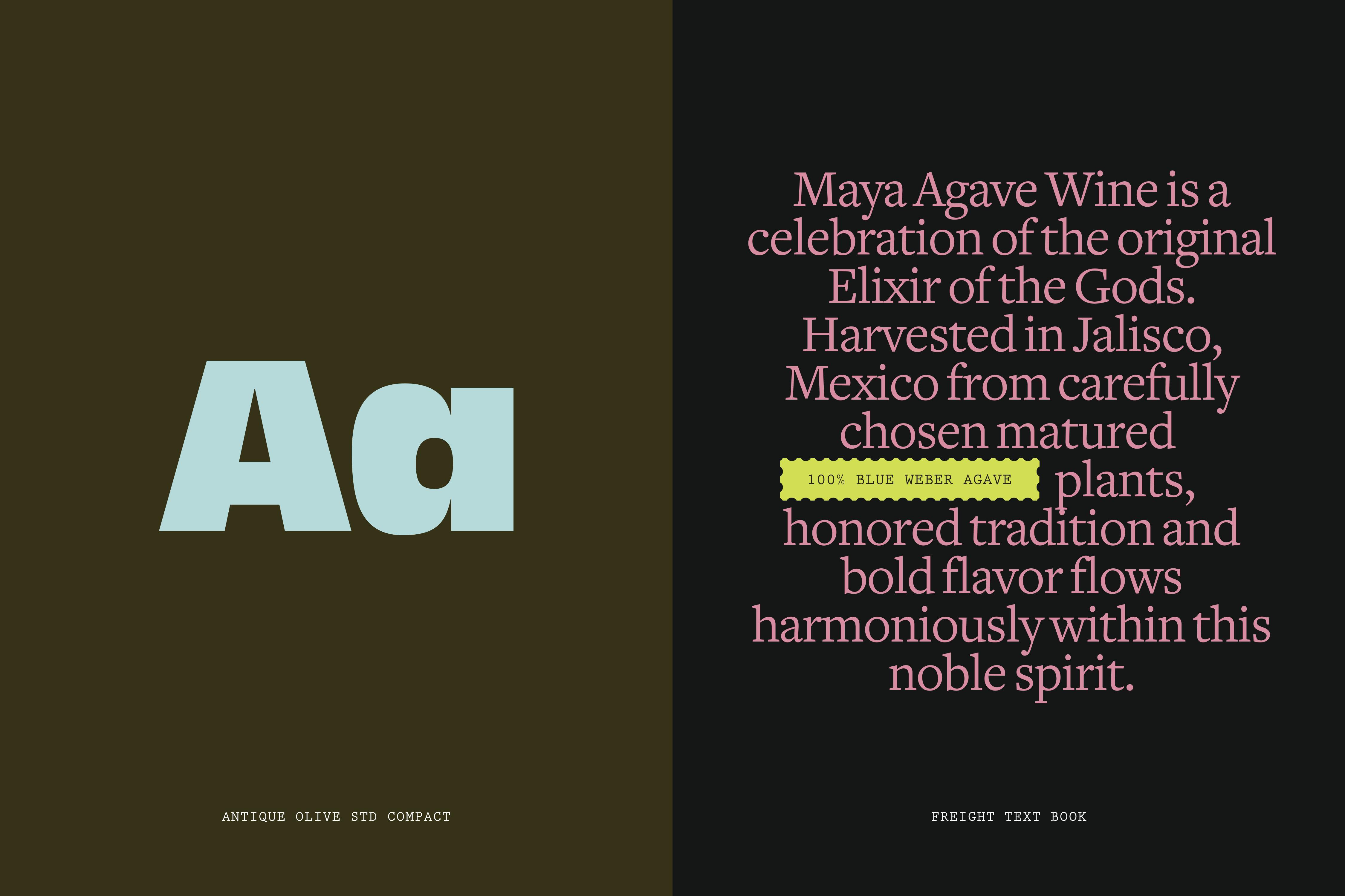 Typography examples showing brand fonts