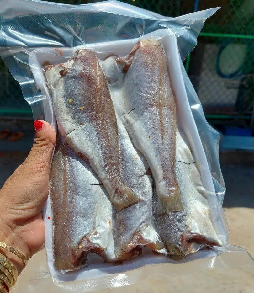 Cá Đù Một Nắng Bình Định 500gr