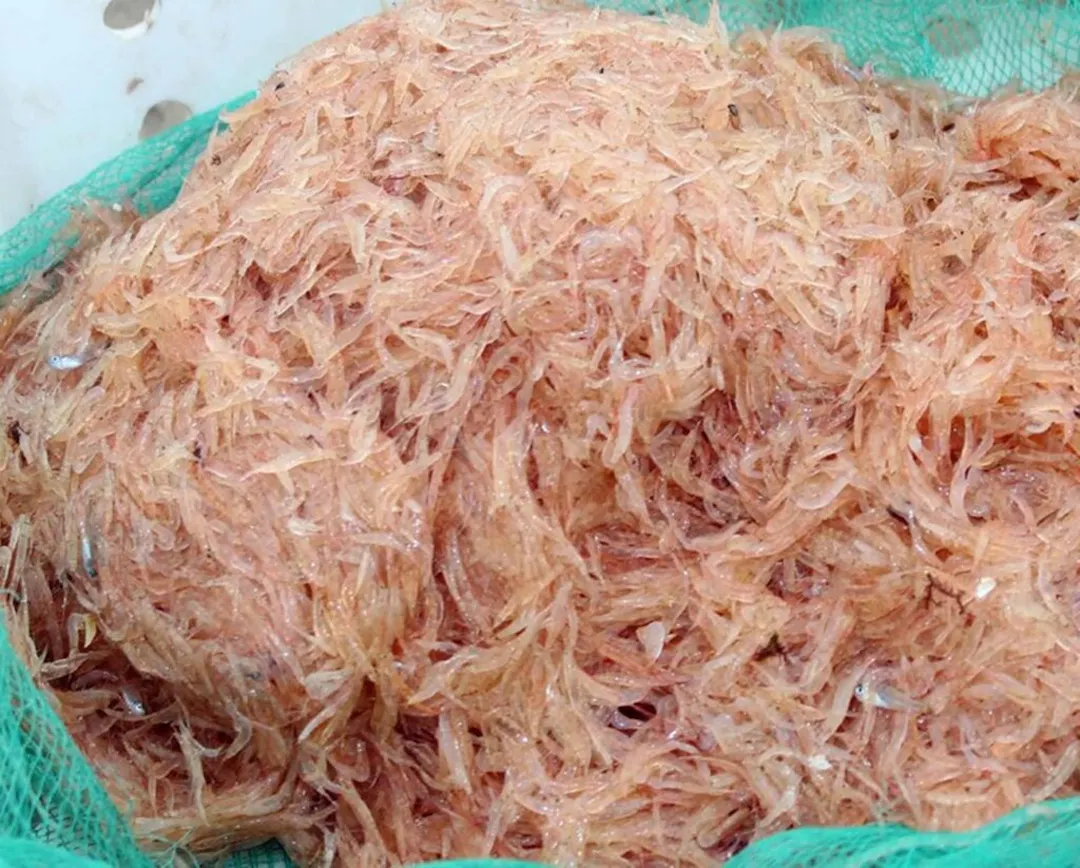 Nguyên liệu & Dụng cụ cần chuẩn bị
