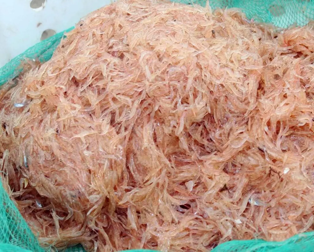 Nguyên liệu & Dụng cụ cần chuẩn bị