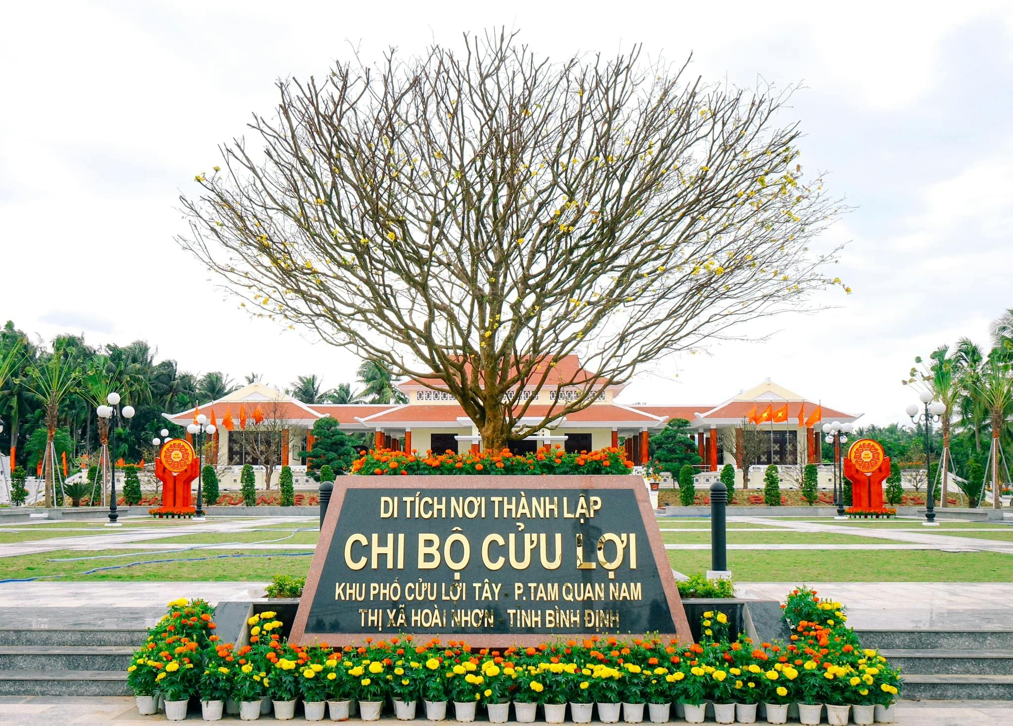 Ảnh từ Hello Hoài Nhơn