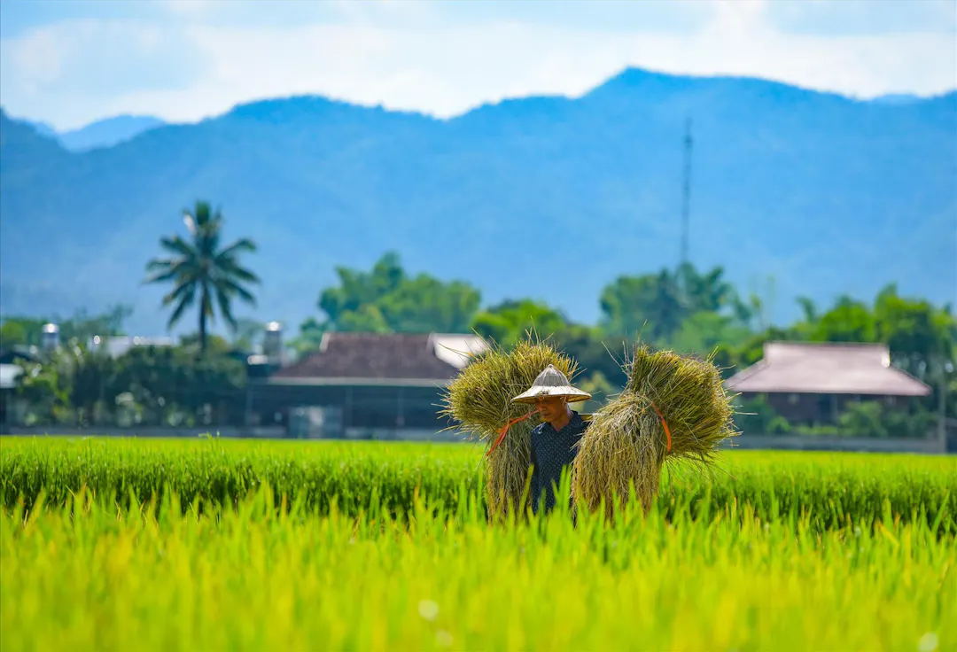 Hướng Dẫn Check-in Những Điểm Sống Ảo Đẹp Nhất Hoài Nhơn
