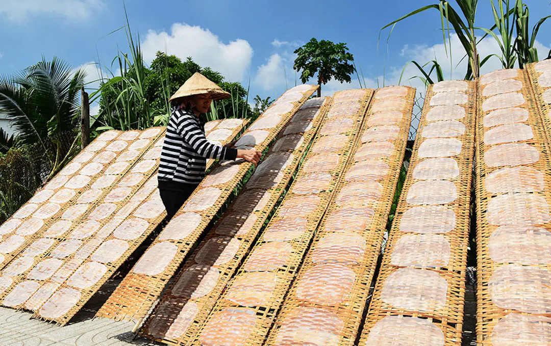 Hình ảnh - Làng nghề bánh tráng Hoài Đức