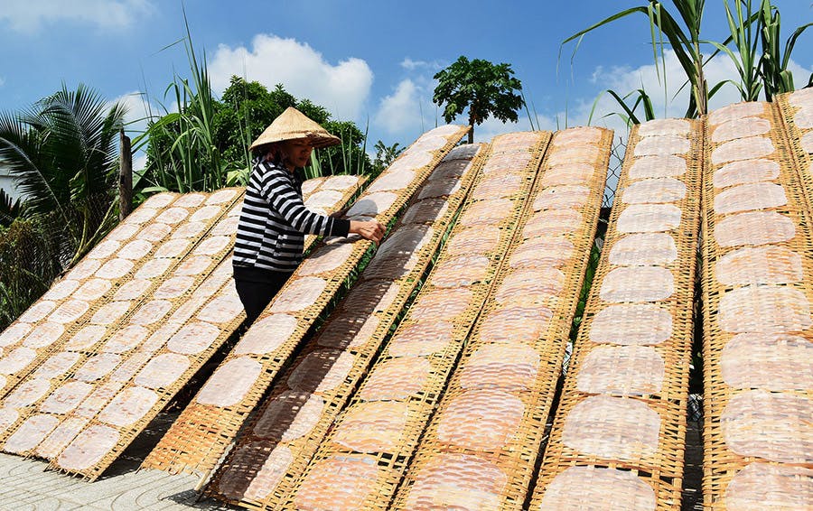 Hình ảnh làng nghề bánh tráng Hoài Đức