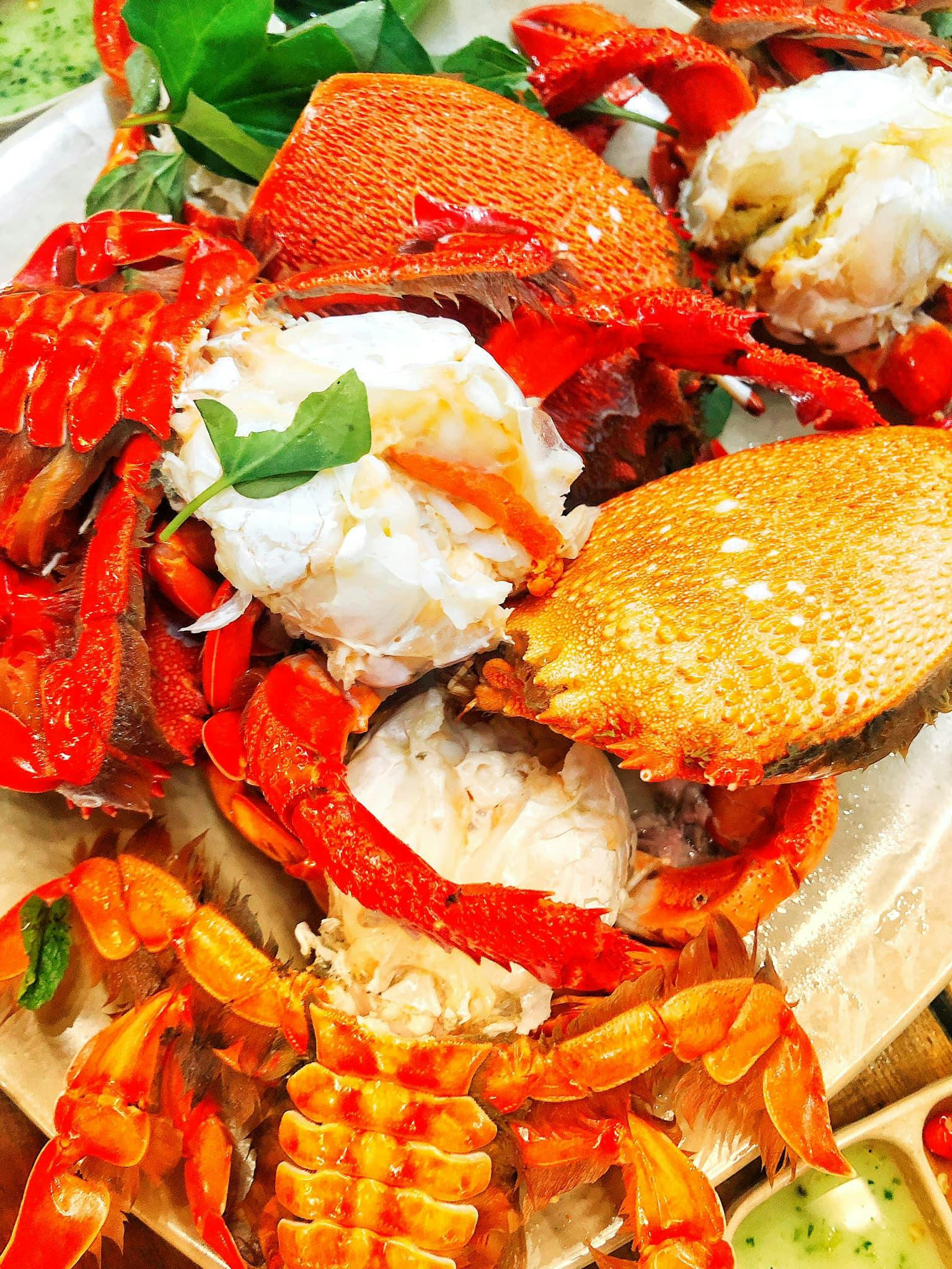 Cua Huỳnh Đế Tam Quan – Vị Vua Của Biển Cả Bình Định