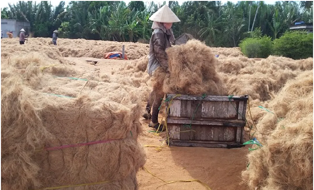 Hình ảnh - Làng Nghề Chế Biến Thảm Xơ Dừa Tam Quan
