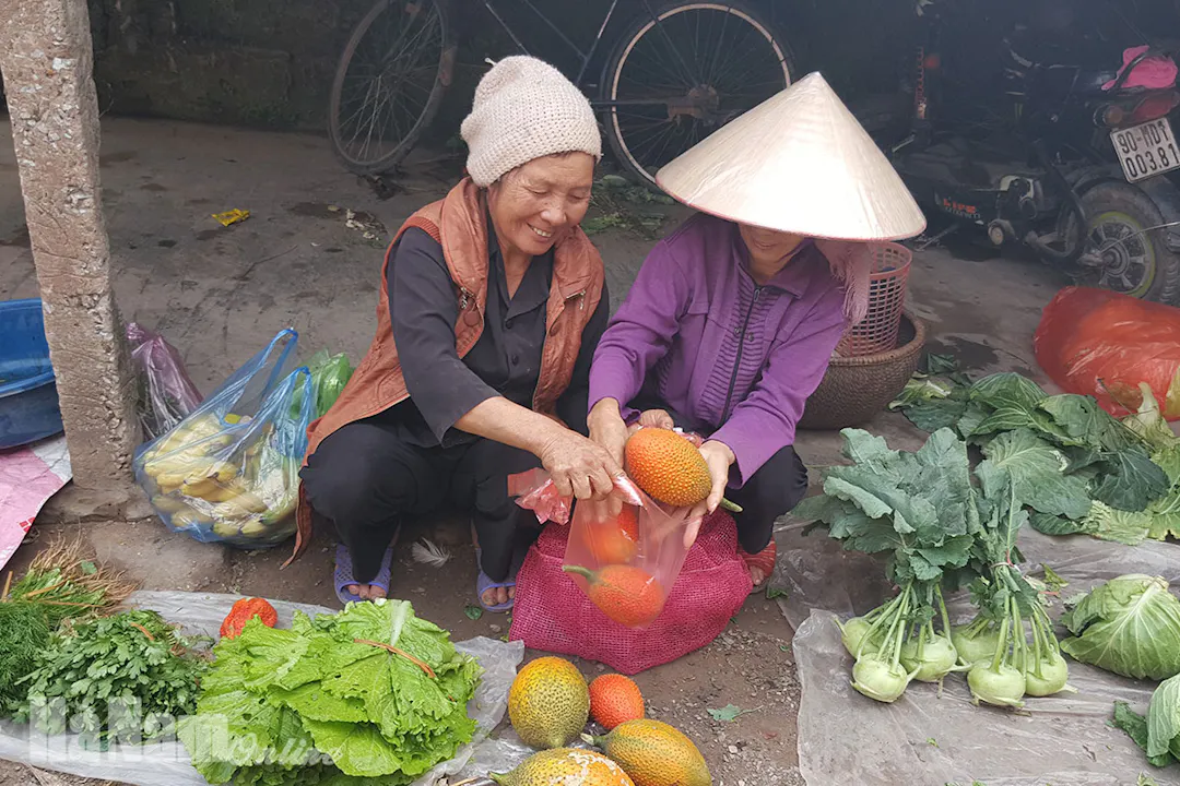 Hình ảnh minh họa - Chợ quê Hoài Nhơn