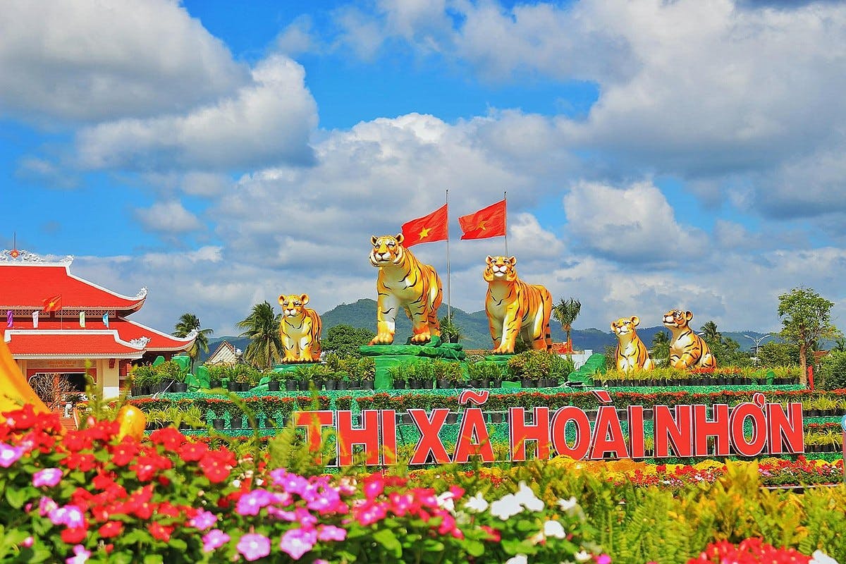 Hoài Nhơn Qua Ống Kính: Những Bức Ảnh Đẹp Như Mơ