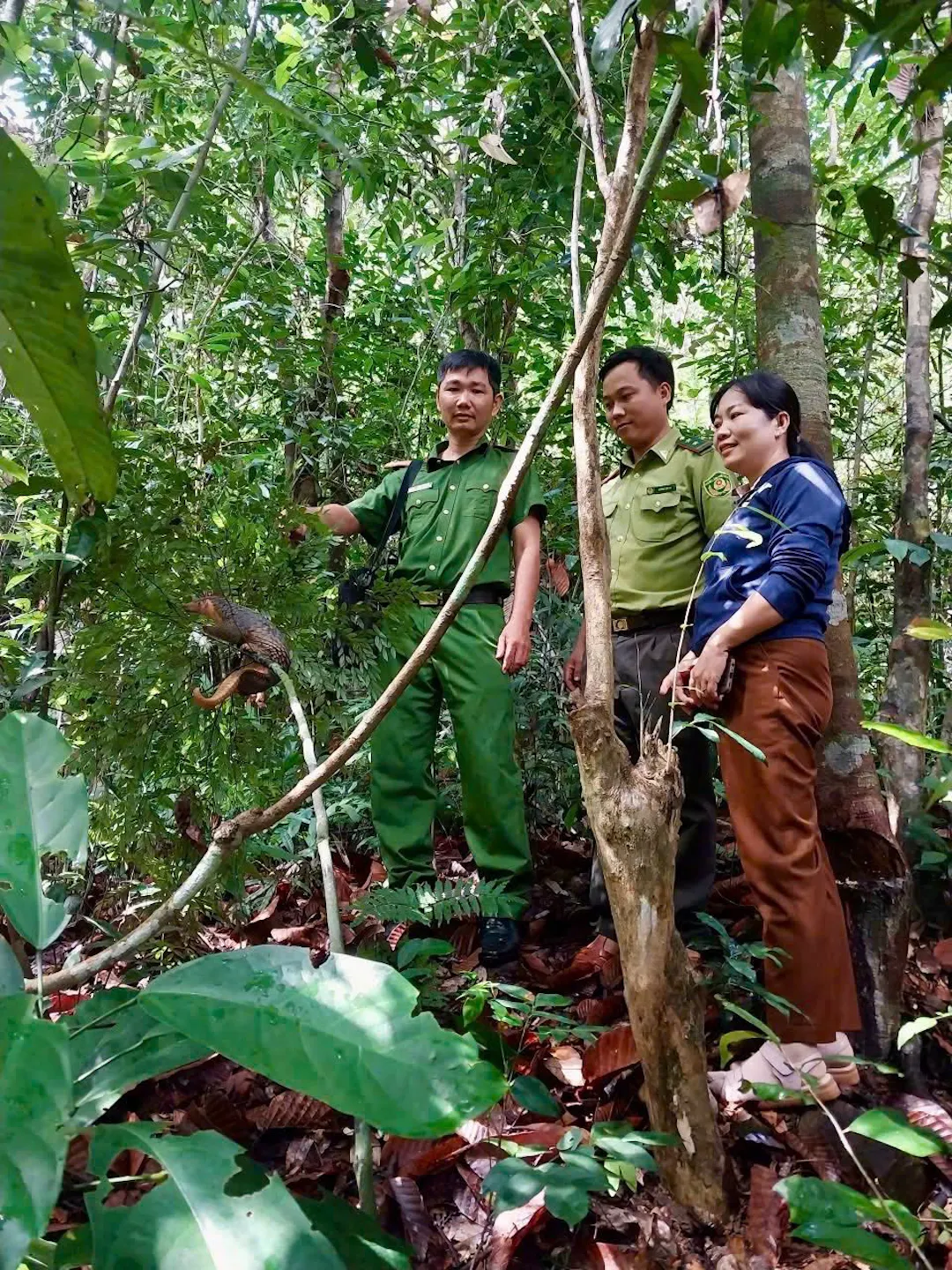 Hình ảnh minh họa - Lan tỏa ý thức bảo vệ động vật hoang dã