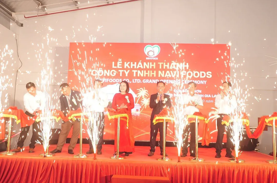 Hình ảnh minh họa - Dấu mốc mới trong phát triển công nghiệp Hoài Nhơn