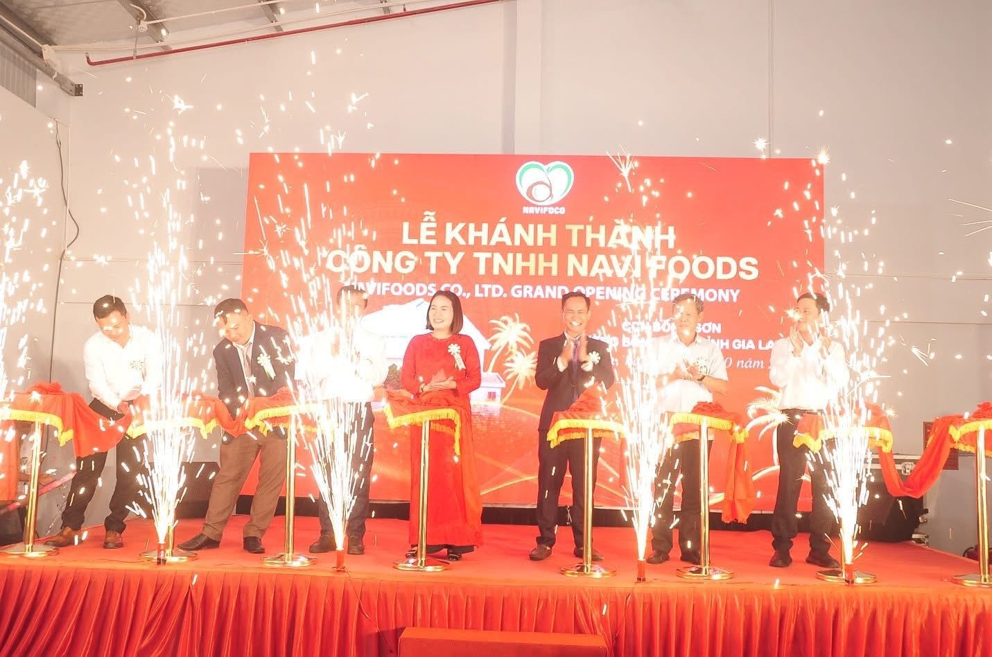 Hình ảnh minh họa - Dấu mốc mới trong phát triển công nghiệp Hoài Nhơn