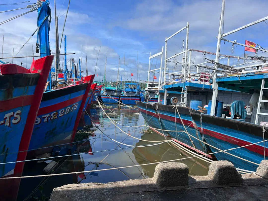 Hình ảnh - Thứ trưởng Nguyễn Hoàng Hiệp Kiểm Tra Công Tác Ứng Phó Bão Số 13 Tại Hoài Nhơn Bắc