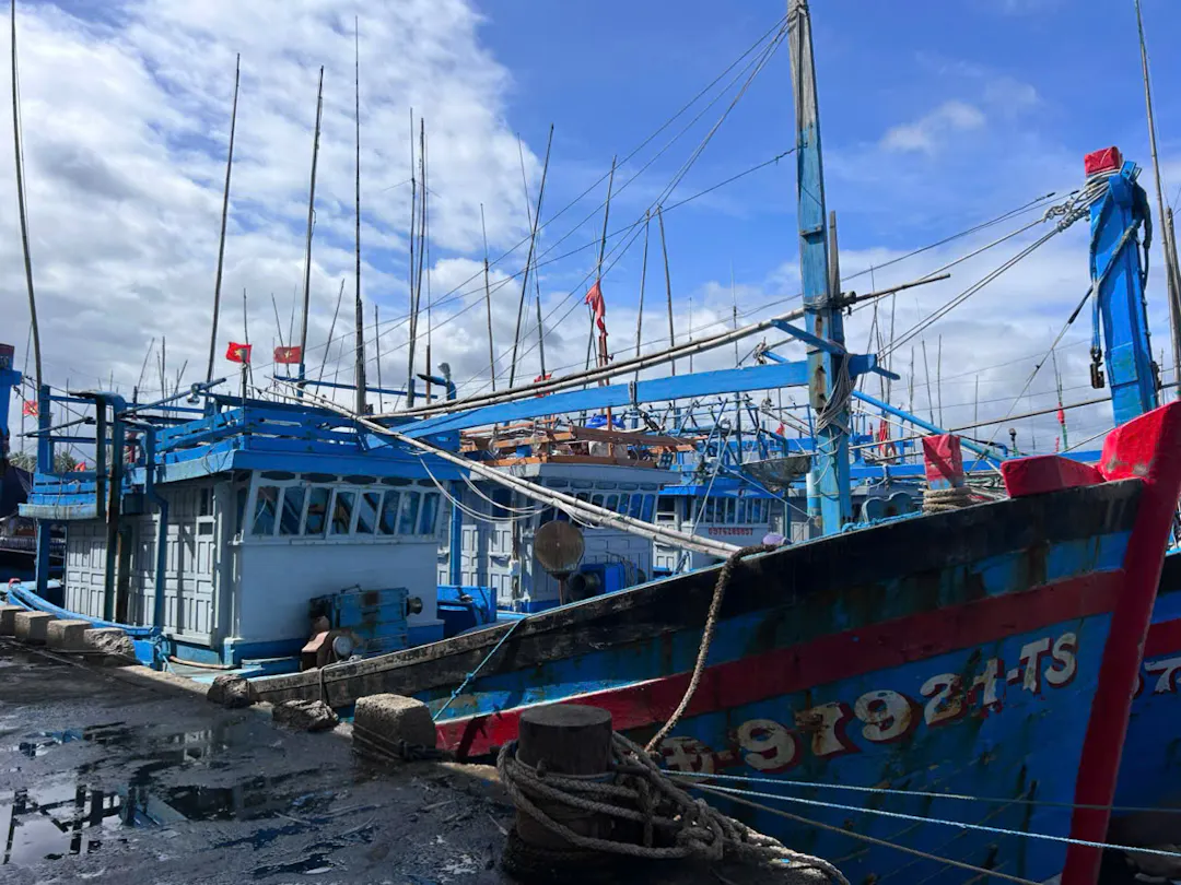 Hình ảnh - Thứ trưởng Nguyễn Hoàng Hiệp Kiểm Tra Công Tác Ứng Phó Bão Số 13 Tại Hoài Nhơn Bắc